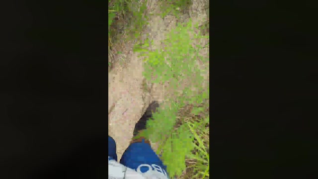 Synbaherrera  22-12-2022